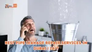 Best Pipe Leakage Repair Services in Dubai
