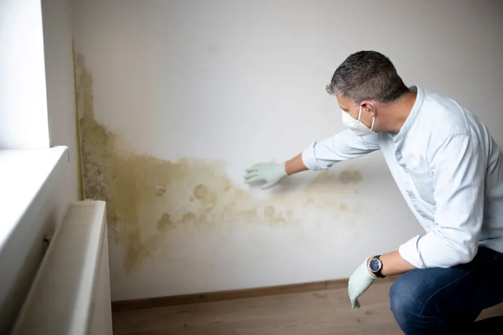 Paint Services in Dubai 10 Waterproof & Anti-Mould Painting